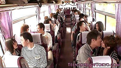 Teflon reccomend japanese bus group