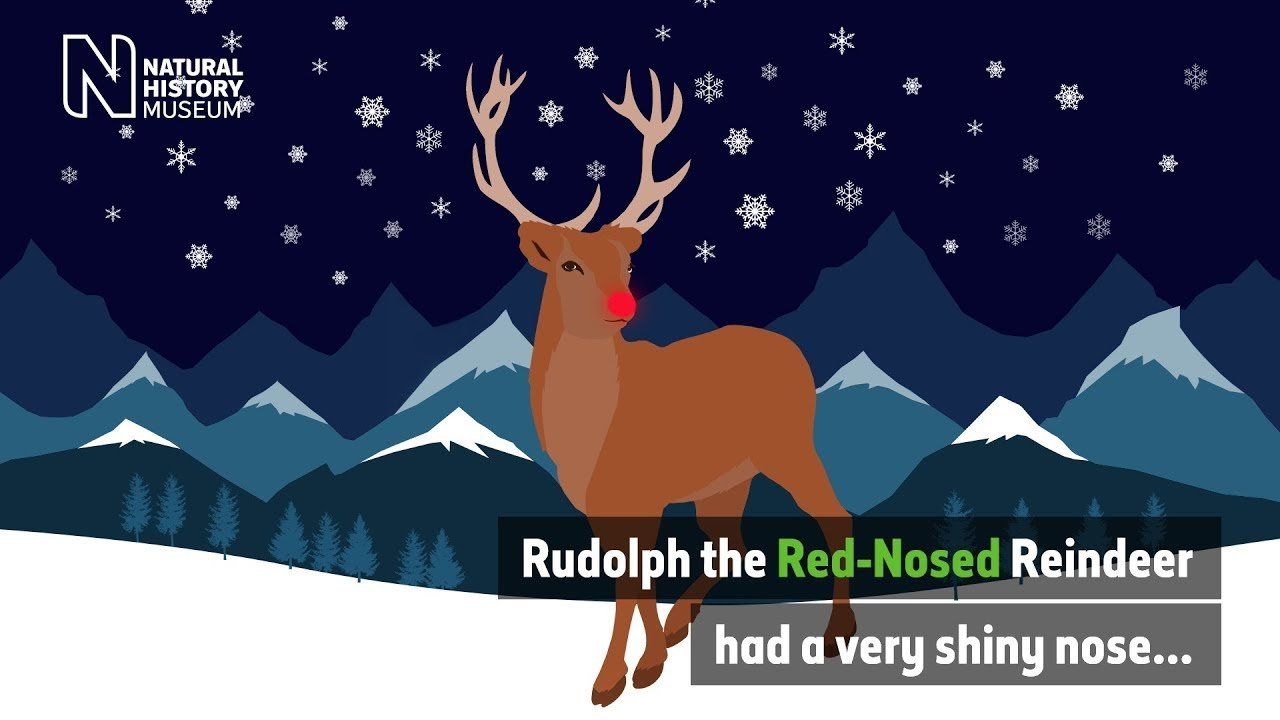 HB reccomend Rudolf the deepthroat reindeer