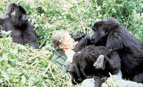 Gunner reccomend Woman and gorillas xxx