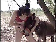 best of Donkey humped Woman gets by