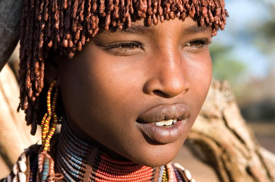 Chrysanthemum reccomend Africa tribes girl making love