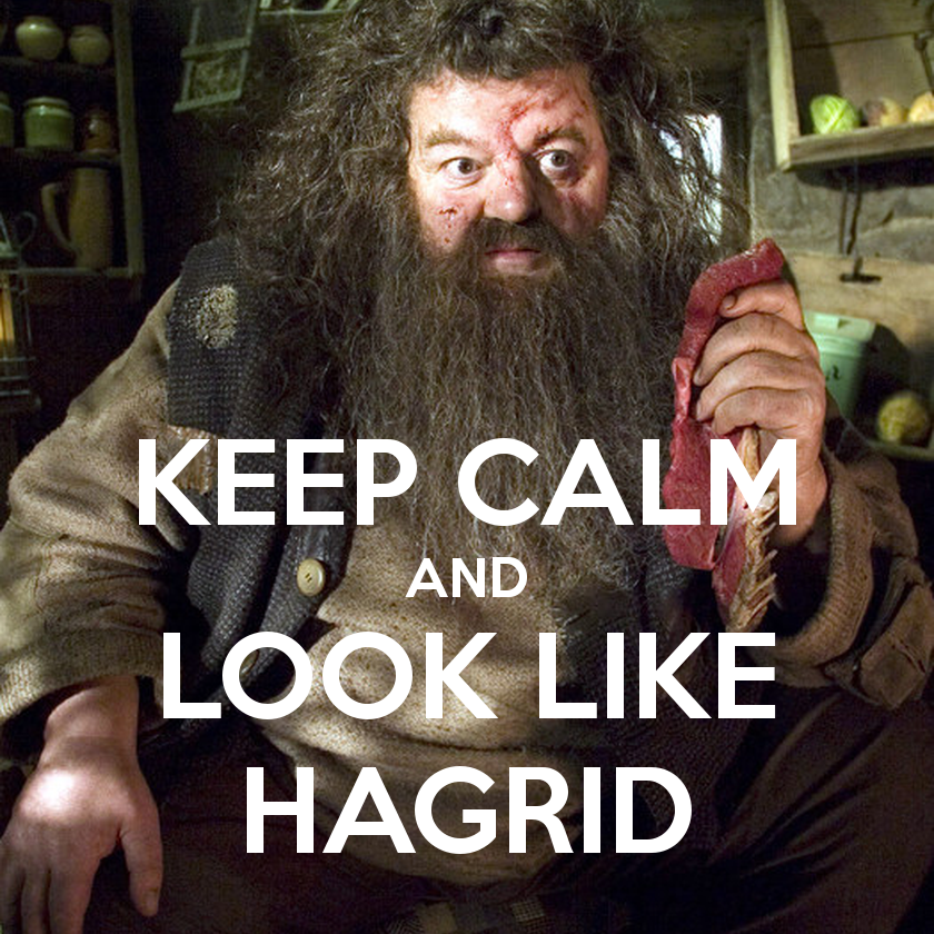Funny hagrid pictures