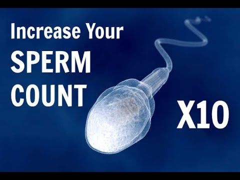 Bronx B. reccomend Sperm count for fertility