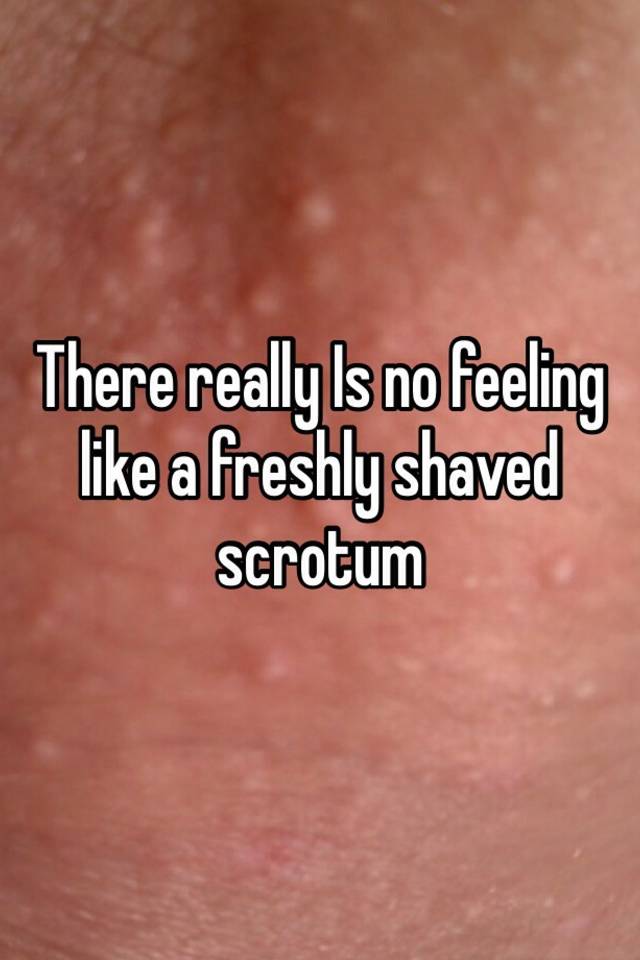 Navigator reccomend Shaved scrotum pitures