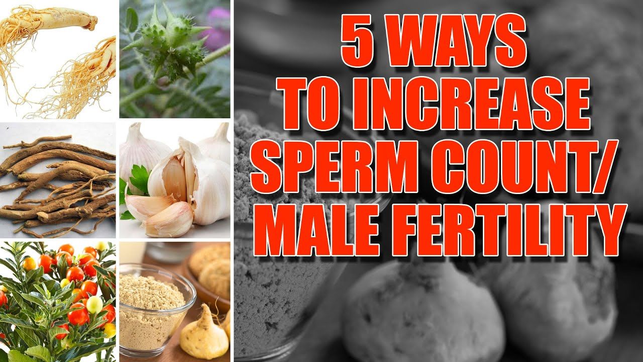 best of Increase remedy sperm Count