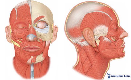 Controlling facial muscles