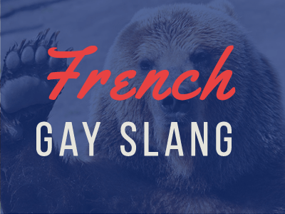 France gay lien
