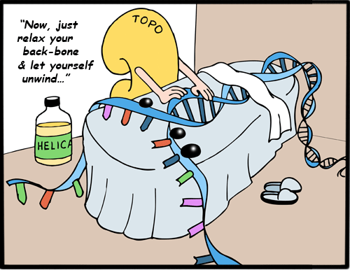 best of Jokes Biology comics