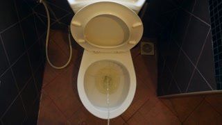 best of Toilet the Peeing in