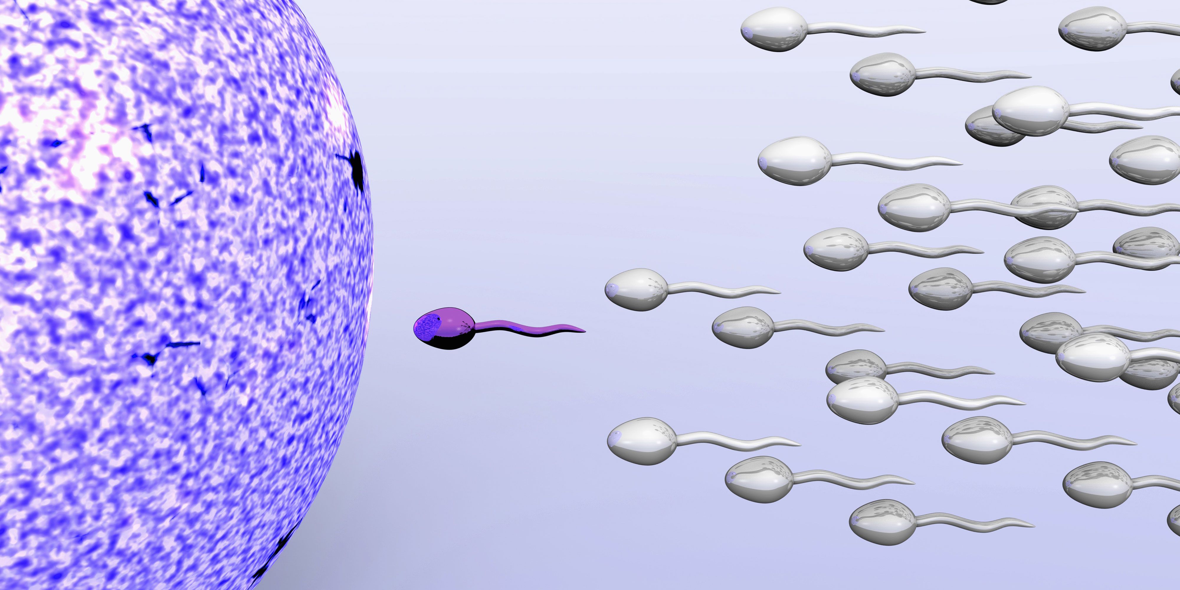 Fourth D. reccomend Sperm sized spheres
