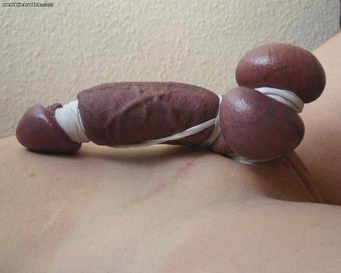 Bound cock and balls stories