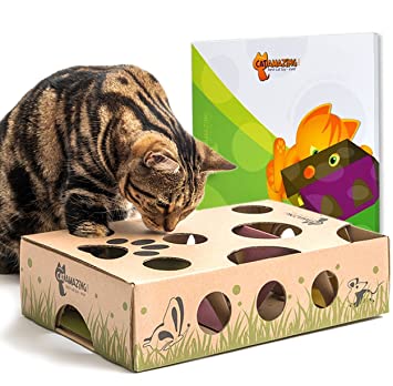 best of Interactive toys Best cat