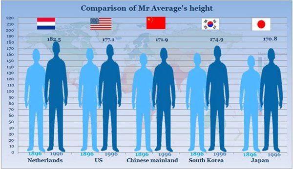 Giggles reccomend Asian average height man