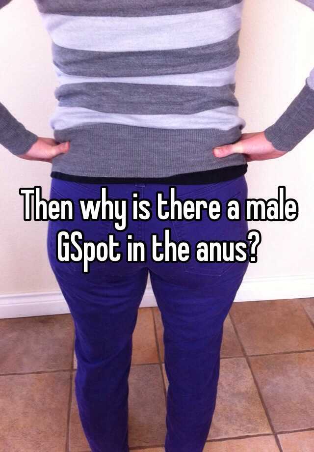 best of Is G-spot G-Spot? Male anus from the What
