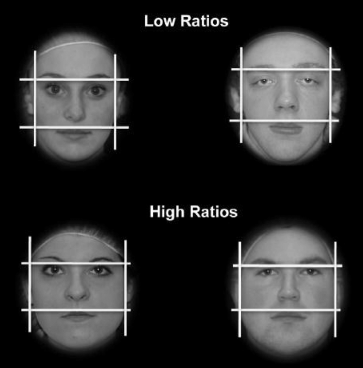 Perception of people by facial babyface