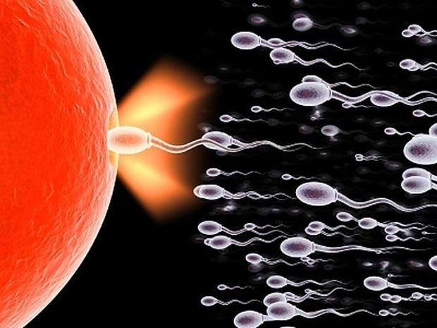 Sperm sized spheres