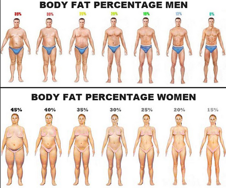 Terminator reccomend Lose weight decrease body fat