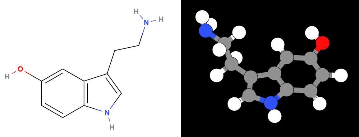 best of Orgasm Dopamine during oxytocin testosterone epinephrine