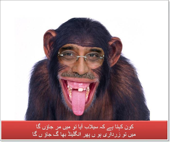 Daffy reccomend Zardari latest jokes