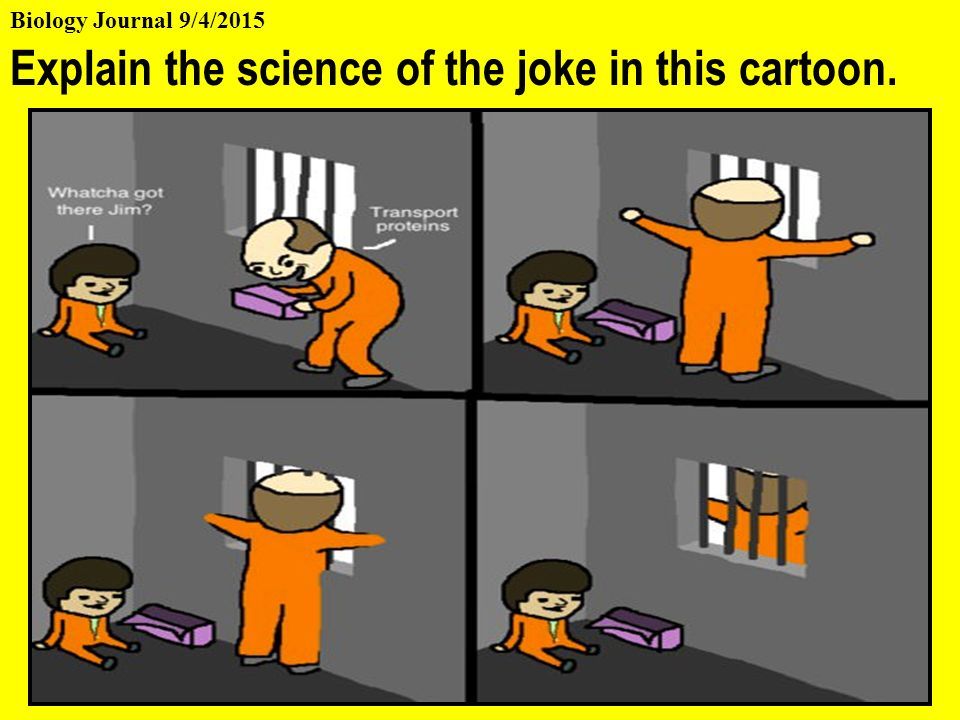 best of Jokes Biology comics