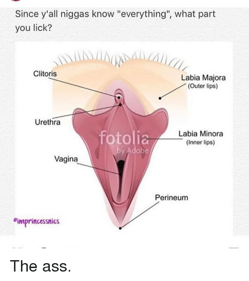 Lick clit virgin puss - Nude gallery