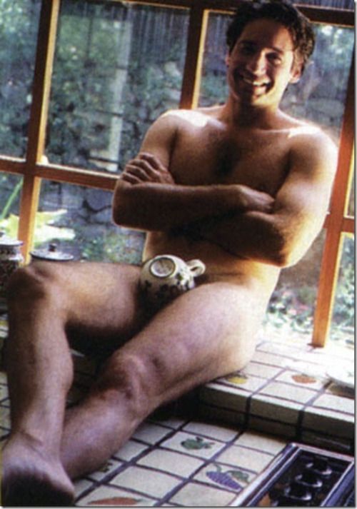 best of Duchovny playgirl David