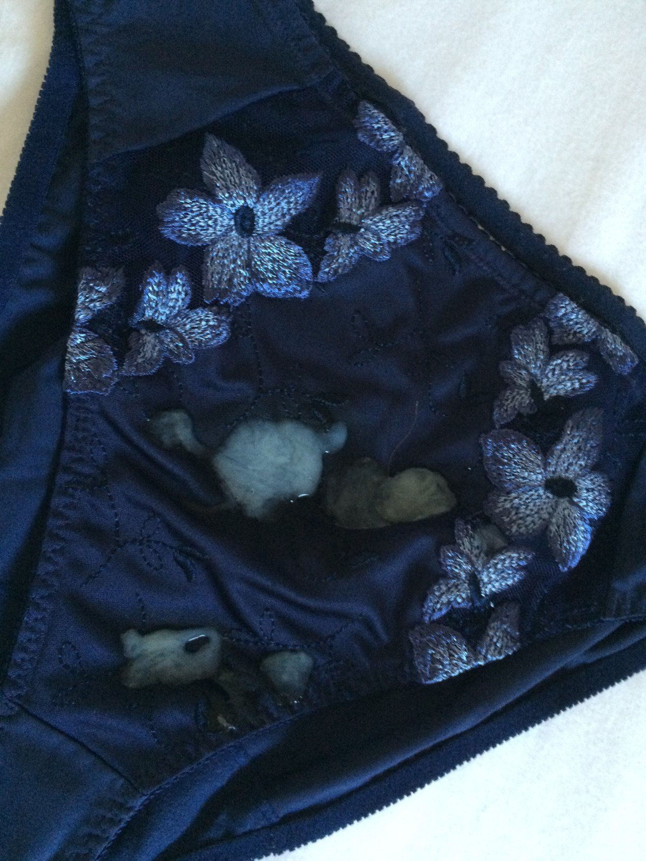 best of Panties on Dried cum