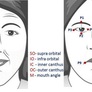 Facial eye parts description