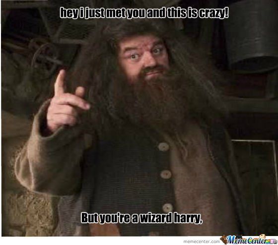 Funny hagrid pictures