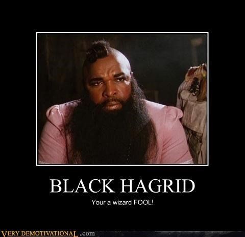 Mulberry reccomend Funny hagrid pictures