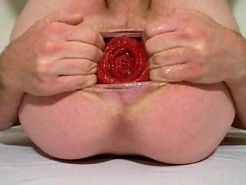 best of Anal porn holes Gaping gay