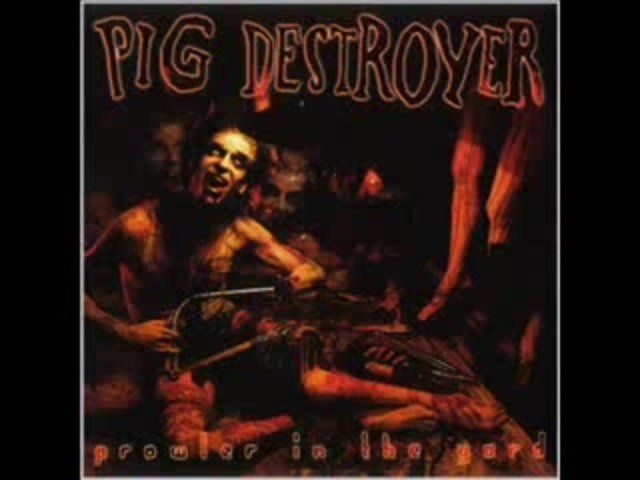 Pig destroyer piss angel