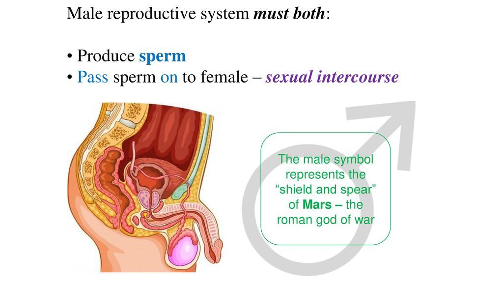 The sperm of god symbol