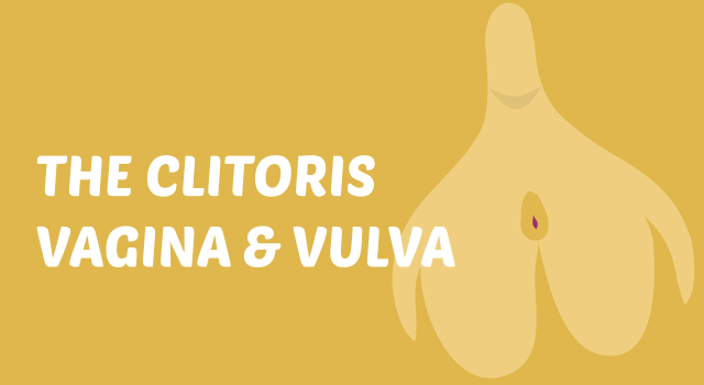 best of Labia clitoris Vagina